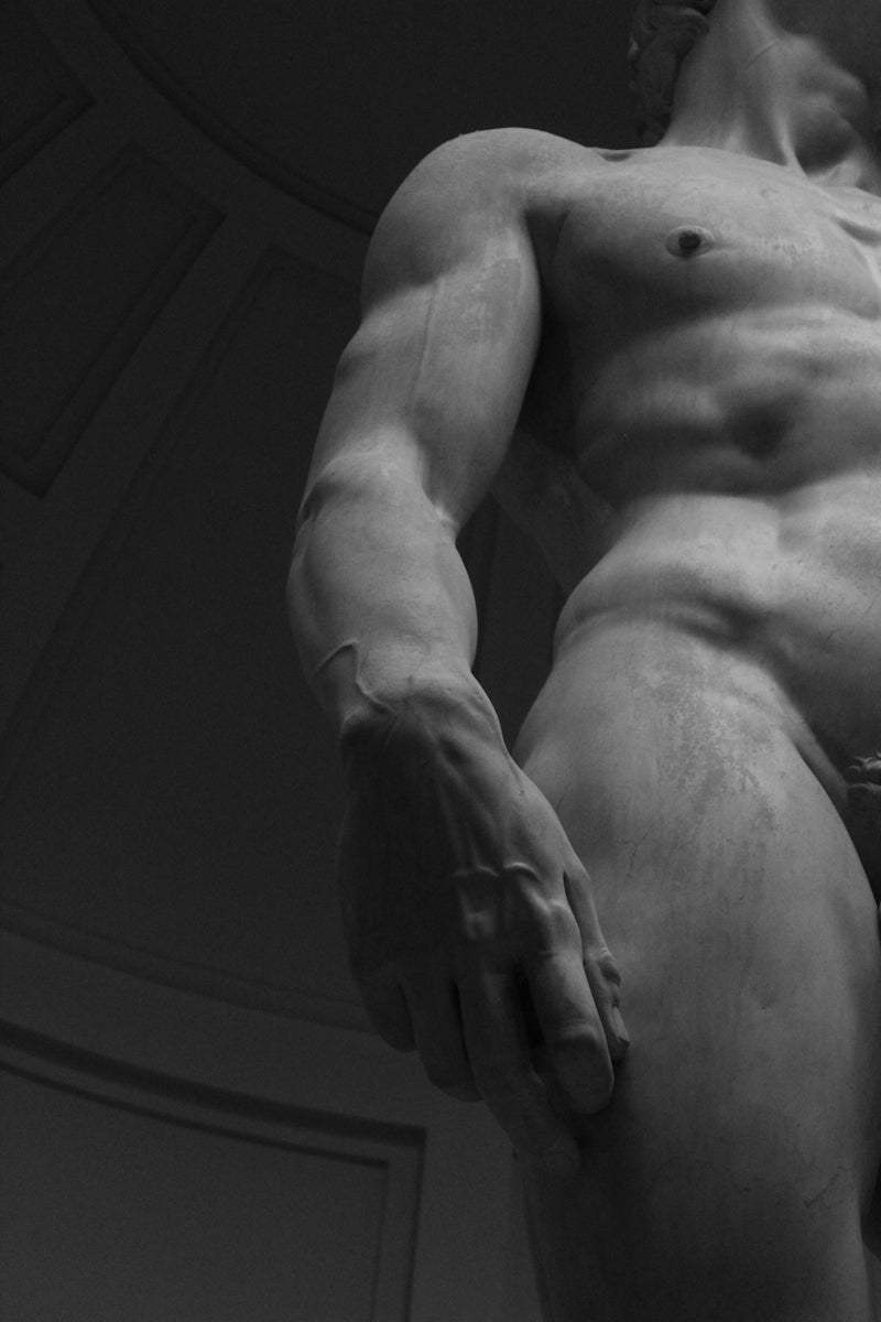 Todo lo que Necesitas Saber sobre Suplementos para la Vitalidad Masculina