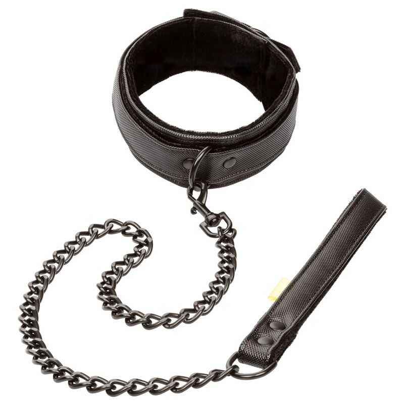 Boundless Collar Con Correa
