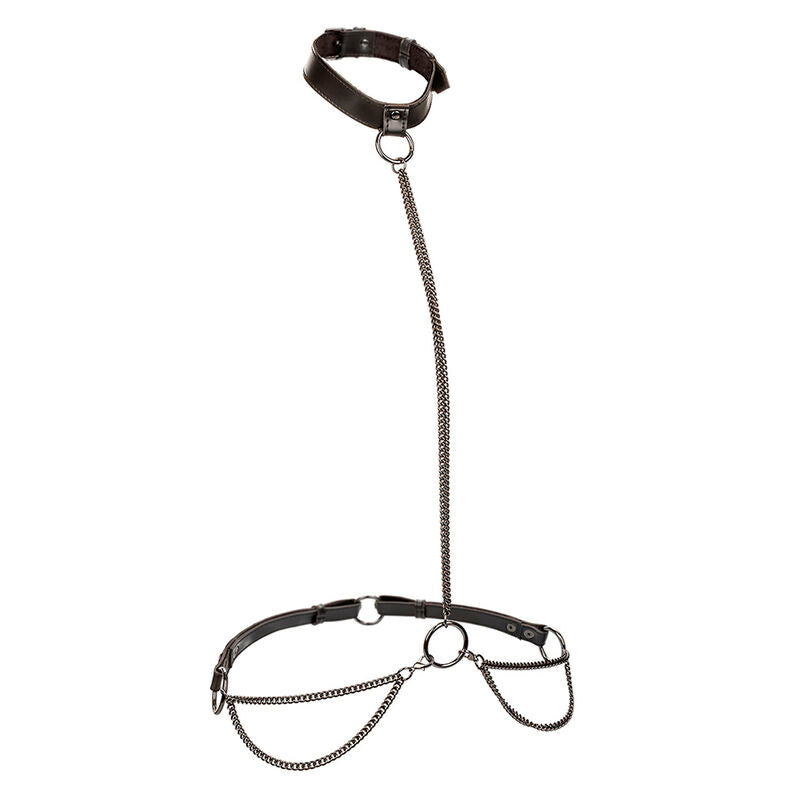 Euphoria Collar Halter Y Correa Con Cadena