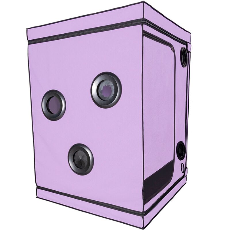 Kink Club Cabina Scandale Morado