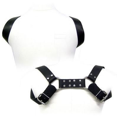 Holster Harness