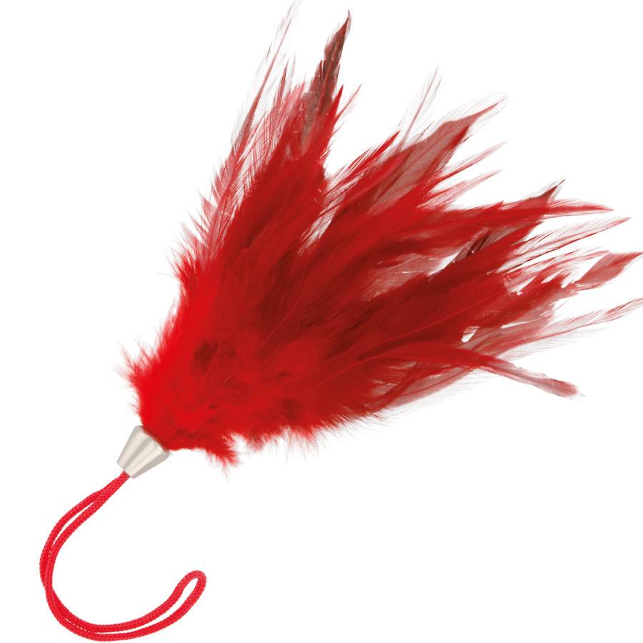 Pluma Estimuladora Rojo 17Cm